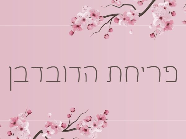 Cherry Blossom Hebrew Handwritten Font – Script